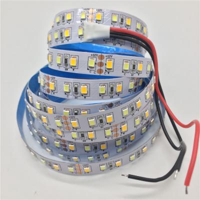 China Low power consumption LED high-brightness 2835 dual-color temperature lamp with low voltage meter enclosed flexible 120D LIGHT STRIP 12v/24v for sale