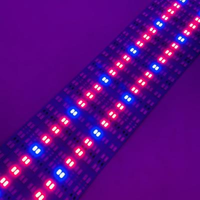 China Length 3red1blue 5Red1Blue Plant Light DC12V/24V 5730 100CM LED Strip Lighting Stretch Rigid Strip For Aquarium Greenhouse Hydroponic Plants for sale