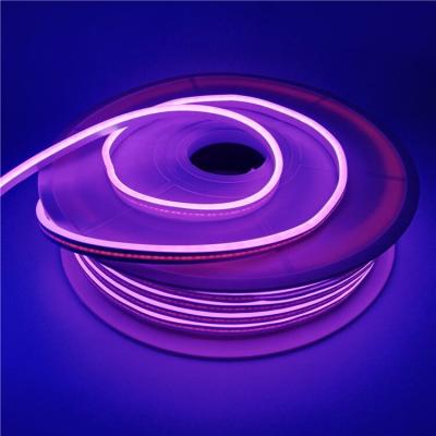 China Residential Hot Led Neon Light 5*12 2835 120LED/M Flexible Cuttable IP67 Tira Neon Flex Con Waterproof RGB Customize Light for sale