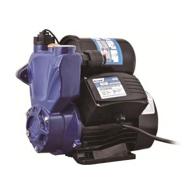 China New Design LW Series Water Solutions Developing World Automatic Self-Priming Pump 0.3HP Mini Water Pumps Hot And Cold Water for sale