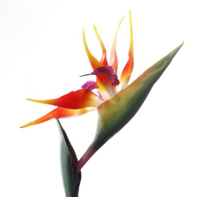 China Wholesale Eco-friendly Colorful PE O-X419 Artificial Bird Of Paradise Flower Home Real Touch Wedding Decoration Bird Of Paradise Plant for sale