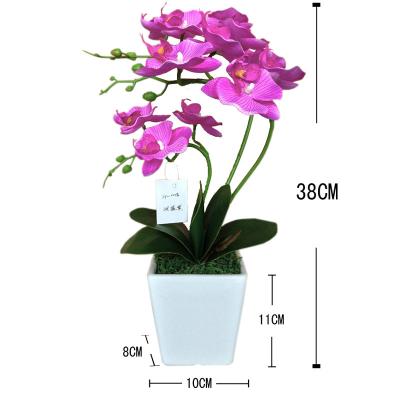 China Material Touch New Arrival A-O006 2021 Real Wedding White Orchid Flower Phalaenopsis Plants for sale