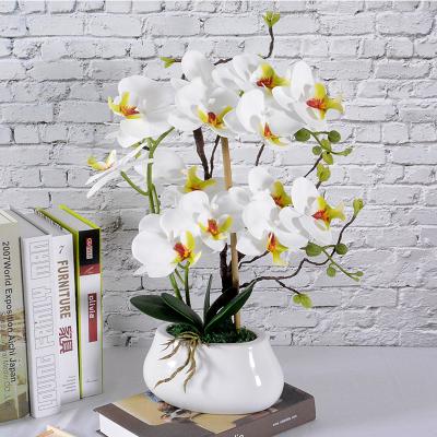 China LP002 Real Touch Material Studios White Phalaenopsis Faux Orchid In Pot Home Decoration for sale