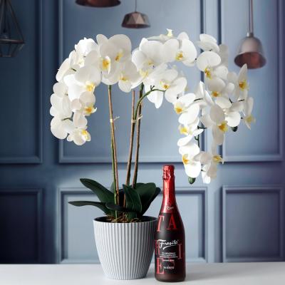 China Fashional Wholesale Cheap Artificial Butterfly Flowers Real Touch Latex Orchid for sale