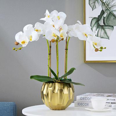 China Fashional Good Price Home Decoration Hand Feeling Artificial Butterfly Plastic Orchid Flowers for sale