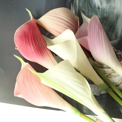 China Fashional High Simulation Long Stem Calla Lily Flowers Home Flowers Party Festival Bar Decoration Real Touch Fake for sale