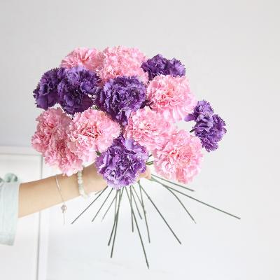 China Fashional Hot Selling Flowers Real Touch Artificial Silk Carnation Flower For Mother's Day for sale