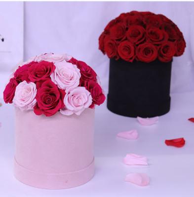 China M104 Hot Sale Sustainable Flowers Eco-friendly Rose Preserved Flowers With Boxes Natural Eternal For Wedding Valentine's Day for sale