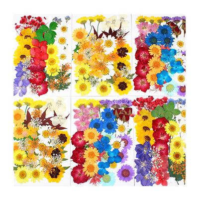 China A-YH006 DIY Craft Embossed Cheap Craft Dried Flower Bundle Embossed Small Material Package for sale