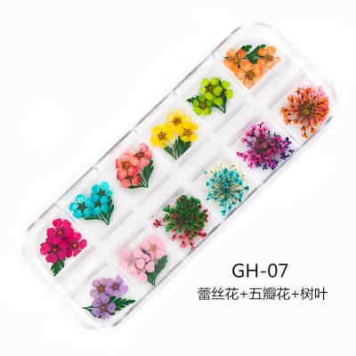 China MJH001 1 Box Hand Made 15 Styles Dry Flowers For Nail Art Applique Nail Decor Dry Flowers Mini Real Natural Flowers 3D Nail Supplies for sale