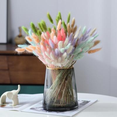 China YN008 Eco-Friendly Top Selling Natural Durable Dried Flowers Bunny Rabbit Tail Grass Bouquets Dried Lagurus Ovatus Bunny Tails for sale