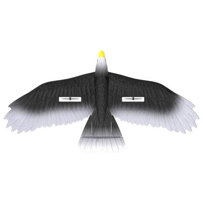 중국 3 Led Light Easy Play 56cm Epp Material Electric Rc Eagle Glider with Remote Outdoor Play for the Whole Family 3 레드 라이트 쉬운 플레이 56cm Epp 재료 전기 Rc 독수리 플라이더 판매용