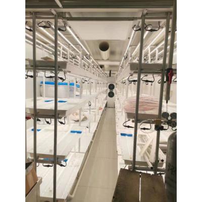 China Hydroponic System Container Hydroponic Farm Plant Vertical Indoor Hydroponic Farms for sale