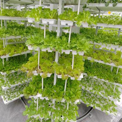 China Agricultura vertical Plantas colgantes Agricultura hidropónica de inteligencia en venta