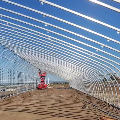 China Invernadero solar Invernadero de plástico para el cultivo de verduras Acero galvanizado en venta