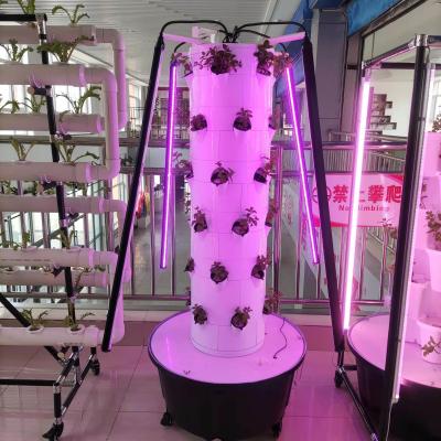 China Sistema de cultivo hidropônico de vegetais e morangos com luz LED à venda