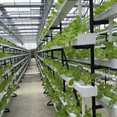 China sistema de cultivo hidropónico NFT comercial invernadero canal hidropónico NFT en venta