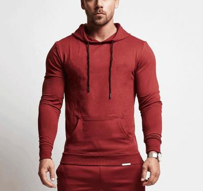 China Anti Shrink Classic Slim Fit Gym Hoodie Men Fitted Hoodie Sweatshirts for sale