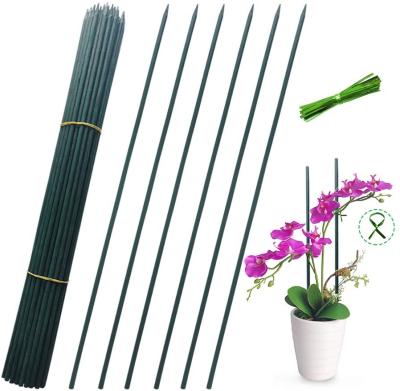 China Modern Dyed Plant Bamboo Flower Garden Sticks Nursery Support Bamboo Sticks for sale