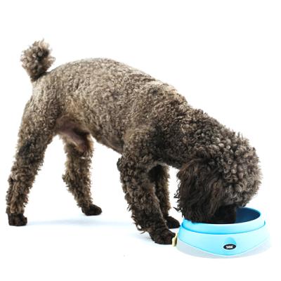 China Sustainable Eco Friendly Pet Products Slow Feeding Anti Skid Dog Bowl for sale