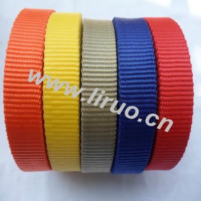 China Sustainable polypropylene tape for pet leashes and collars for sale