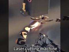 fiber laser cutting showing