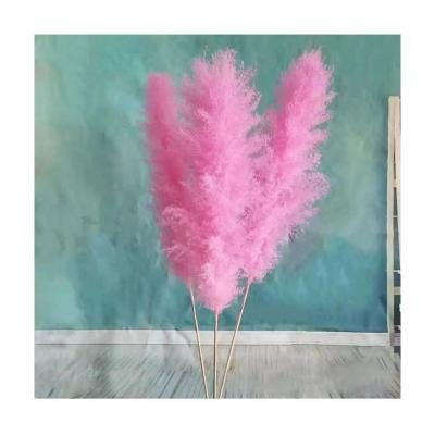 China 2022 Natural Touch Hot Trend Wedding Home Decoration Real Touch Customized Dried Great Pampas Grass Cheap for sale