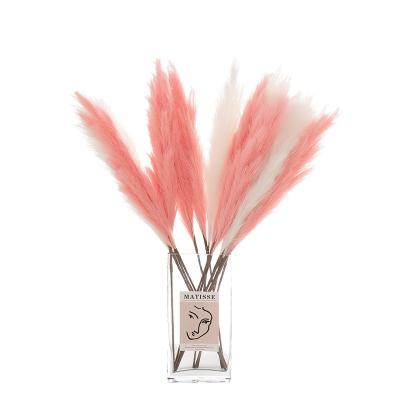 China Nordic Insti Style Soft Colorful Artificial Dry Pampas Grass High Quality Valentines Day Gift Fashion Premium for sale