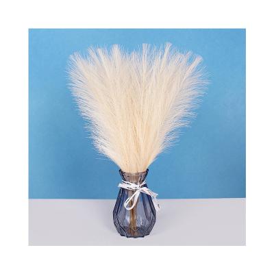 China Nordic Statistical Institute Style Limited Time Goods Romantic Wedding Decoration Artificial Pampas Grass Beige for sale