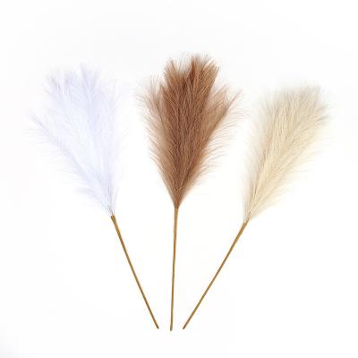 China Natural Dry Fluffy Reed Pampas Grass For Home Decoration Events Real Wedding Garden for sale