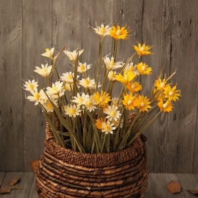 China Wholesale Events Decoration Natural Handmade Art Literary Fresh White Daisy Dried Flowers for sale