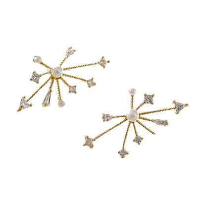 China Hyperbole Hyacinth Hyperbole Style 925 Silver Needle Personalized Diamond Firework Stud Earrings for sale