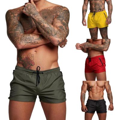 China QUICK DRY Custom Sport Shorts Mens Gym Fitness Sports Training Short Pants Running Beach Wear Mens Shorts Quick Dry for sale