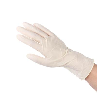 China Modern Design Quality Guarantee Thin Household Dishwashing Gloves for sale