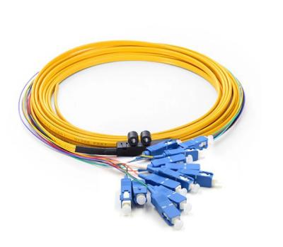 China Fanout Pigtail-12 Cores SC Fiber Optic Pigtail Pigtail -12 Core-SC for sale