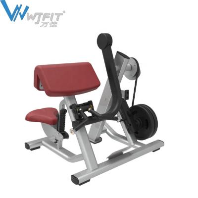 China Popular Commercial Use Strength Training Gym Fitness Equipment Plate Loaded Biceps Curl Machine for sale