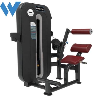 China Heavy Duty Pin Loaded Selections Gym Fitness Equipment Back Extension Machine Commercial Use New Design for sale