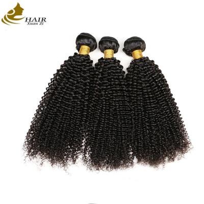 China 100% Unprocessed Kinky Curl Malaysian Virgin Hair Extensions Natural Black for sale