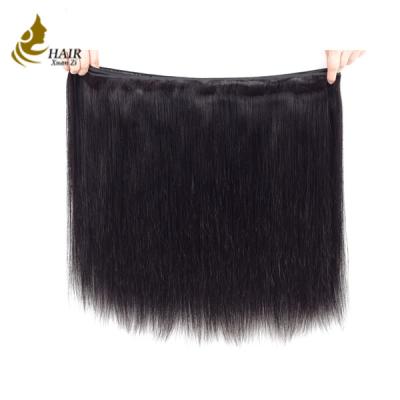 China Paquetes naturales del pelo del color de la extensión del cabello humano de Remy del malasio del paquete del pelo recto en venta