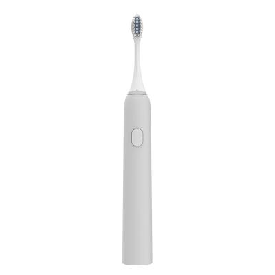 China Hot Sale 0.5W-3W Automatic Vibrate Dental Waterproof Oral Care Rotating Electric Toothbrush for sale