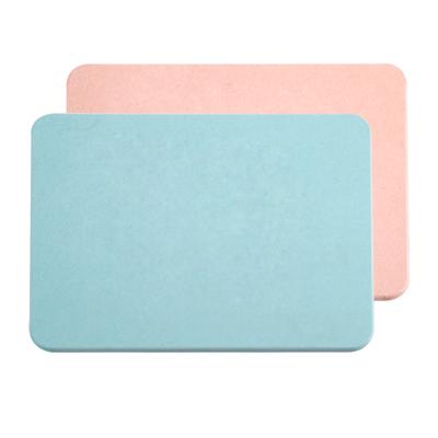 China Modern Fast Absorbent Instant Drying Diatomaceous Earth Anti Slip Shower Mat Diatomite Bath Mat for sale