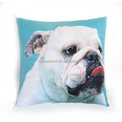 China PORTABLE Decorative Pillow Covers New Printed Cushions 45x45 Farmhouse Pillow Covers Decor for sale