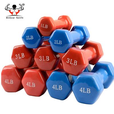 China Durable Hand Weights Strength Gym Fitness Ladies PVC Vinyl Training Dumbbell for sale