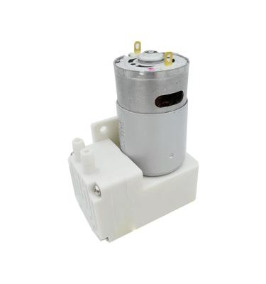 China 2021 Automotive industry hot sale 12v 24v mini vacuum water pump low flow silent rate for bubble machine for sale