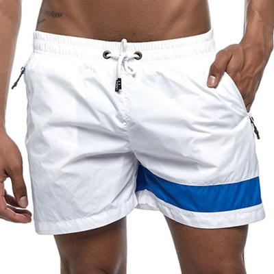 China Cool Sporty Anti-Wrinkle Wear Man 5 Inch Workout Shorts Wide Color Contrast Shorts Man Sports for sale