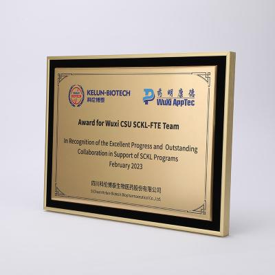 China High Quality Custom Morden Shape Alluminum Alloy Award Certificate Plaques For Promotional Gifts for sale