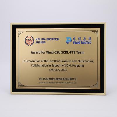 China Morden High End Business Awards Aluminum Alloy Shield Plate Blank Customized Awards Plate for sale