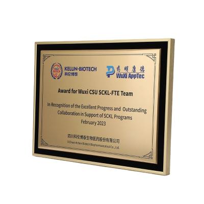 China Morden factory customaward plaque design cheap aluminum alloy 2 color award plaque for sale