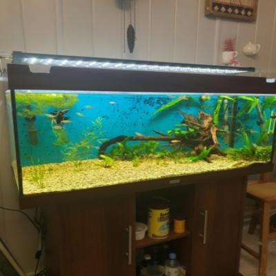 China Aquarium lighting aquarium light hood with extendable brackets, white and blue LEDs LT002 for sale