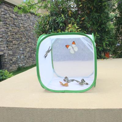 China Multi Colors 30*30*30cm Breathable Insect And Butterfly Habitat Cage Mini Greenhouse Polyester Automatic Bottom For Clean Easier In Stock for sale